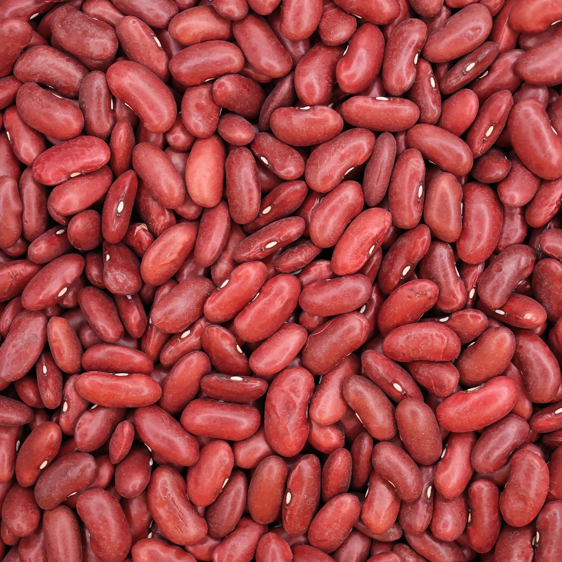 Red Kidney Beans