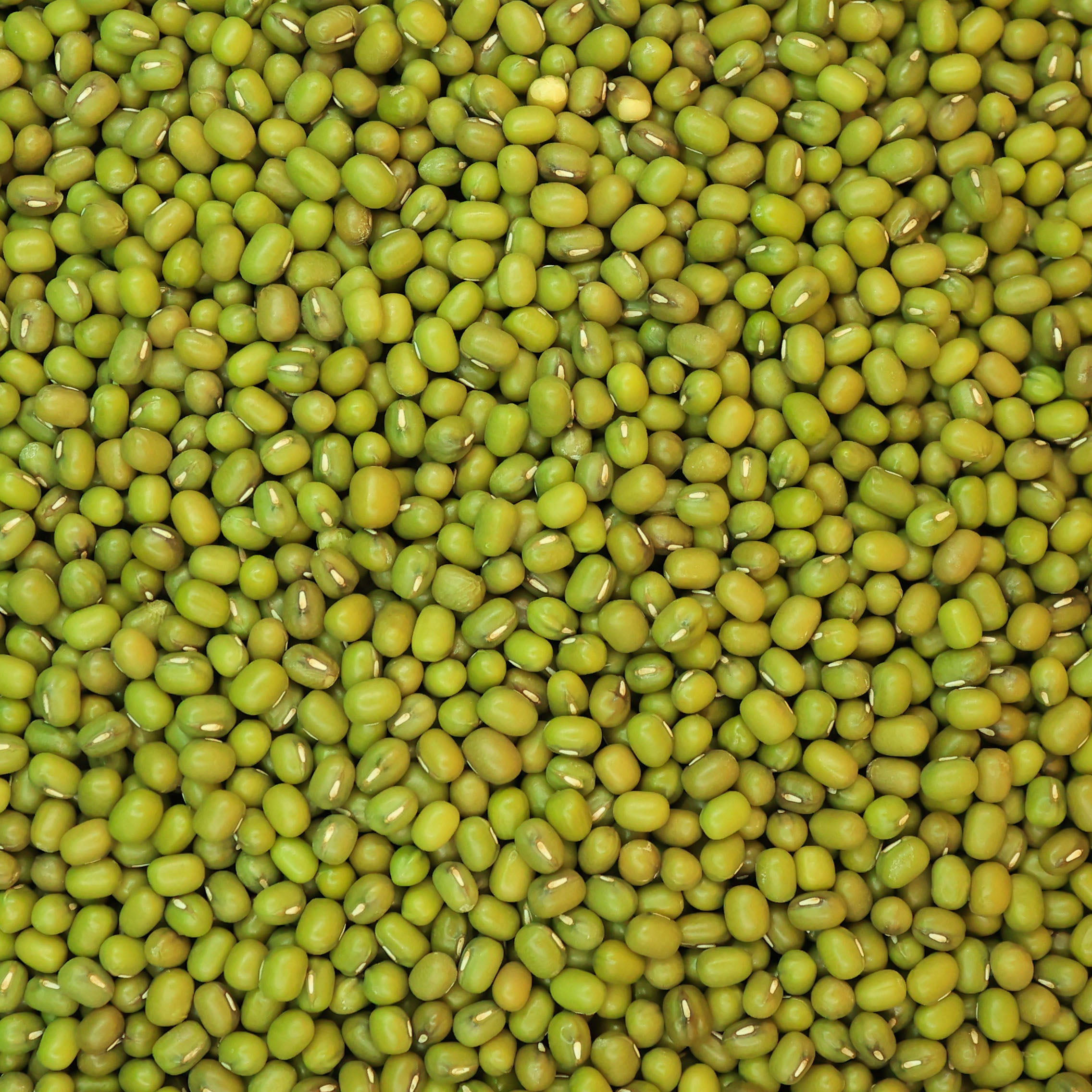 Mung Beans