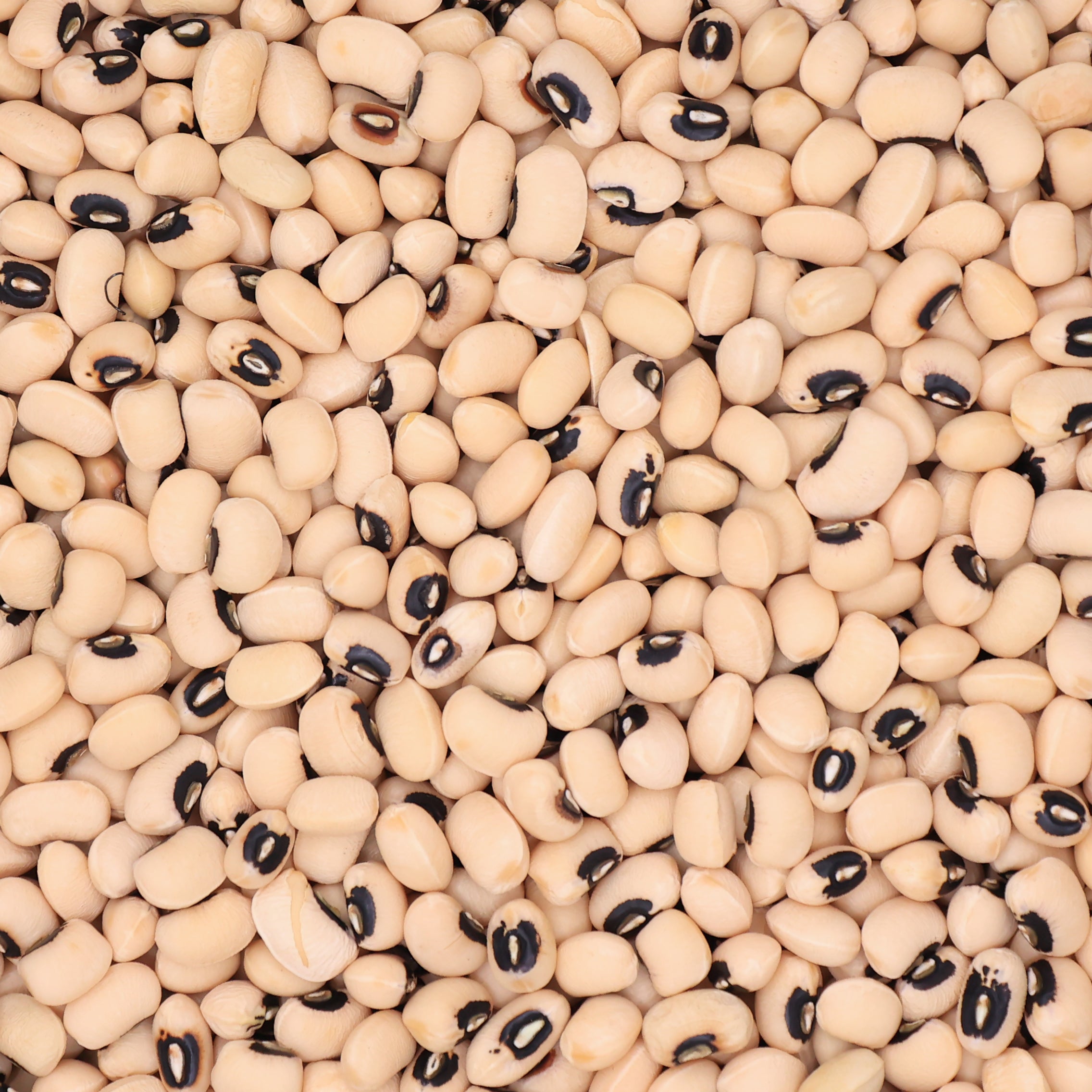 Black Eyed Beans