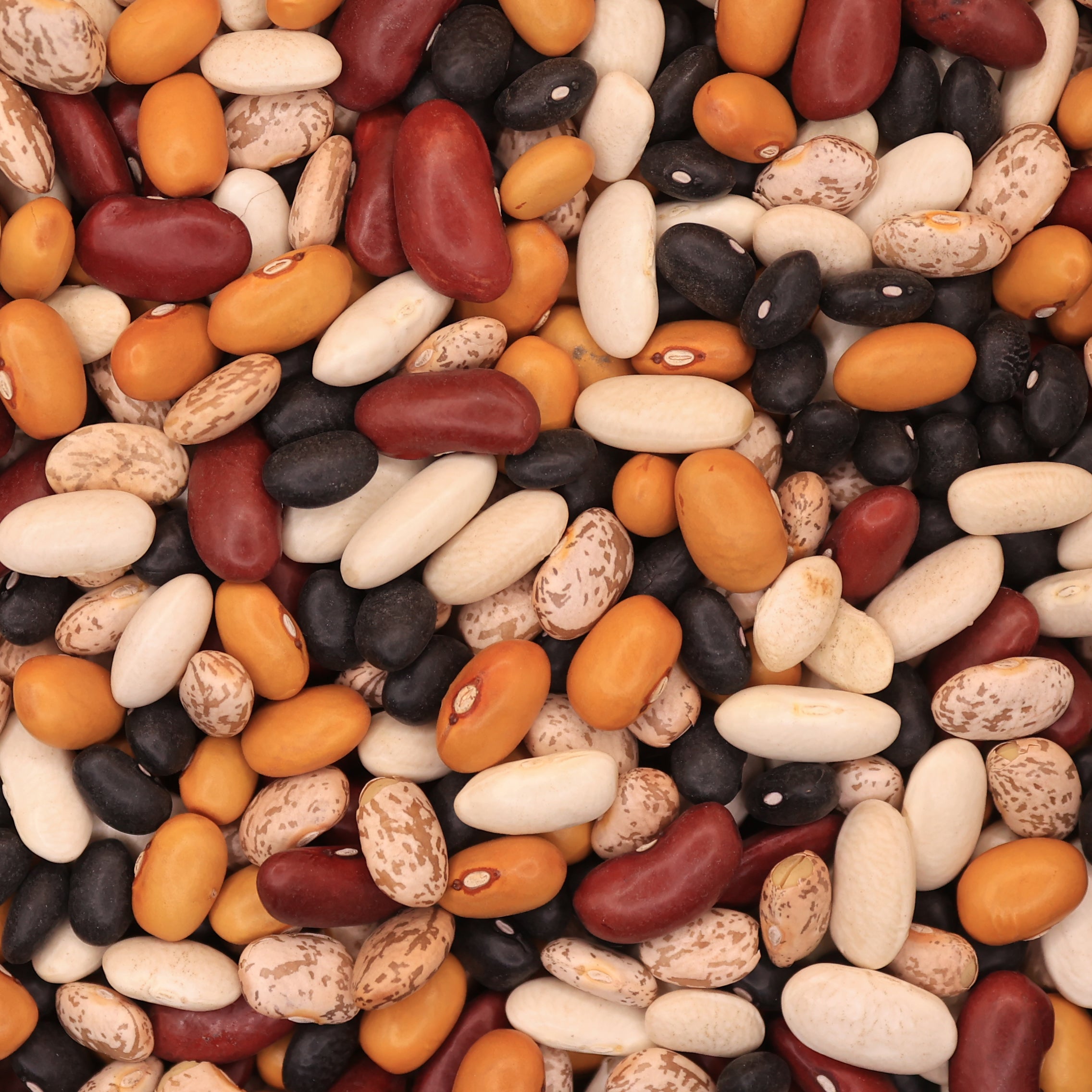 Bean mix