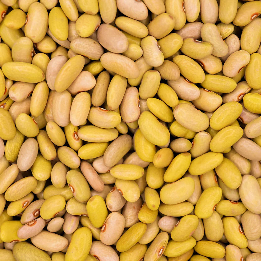 Frisian Forest Beans