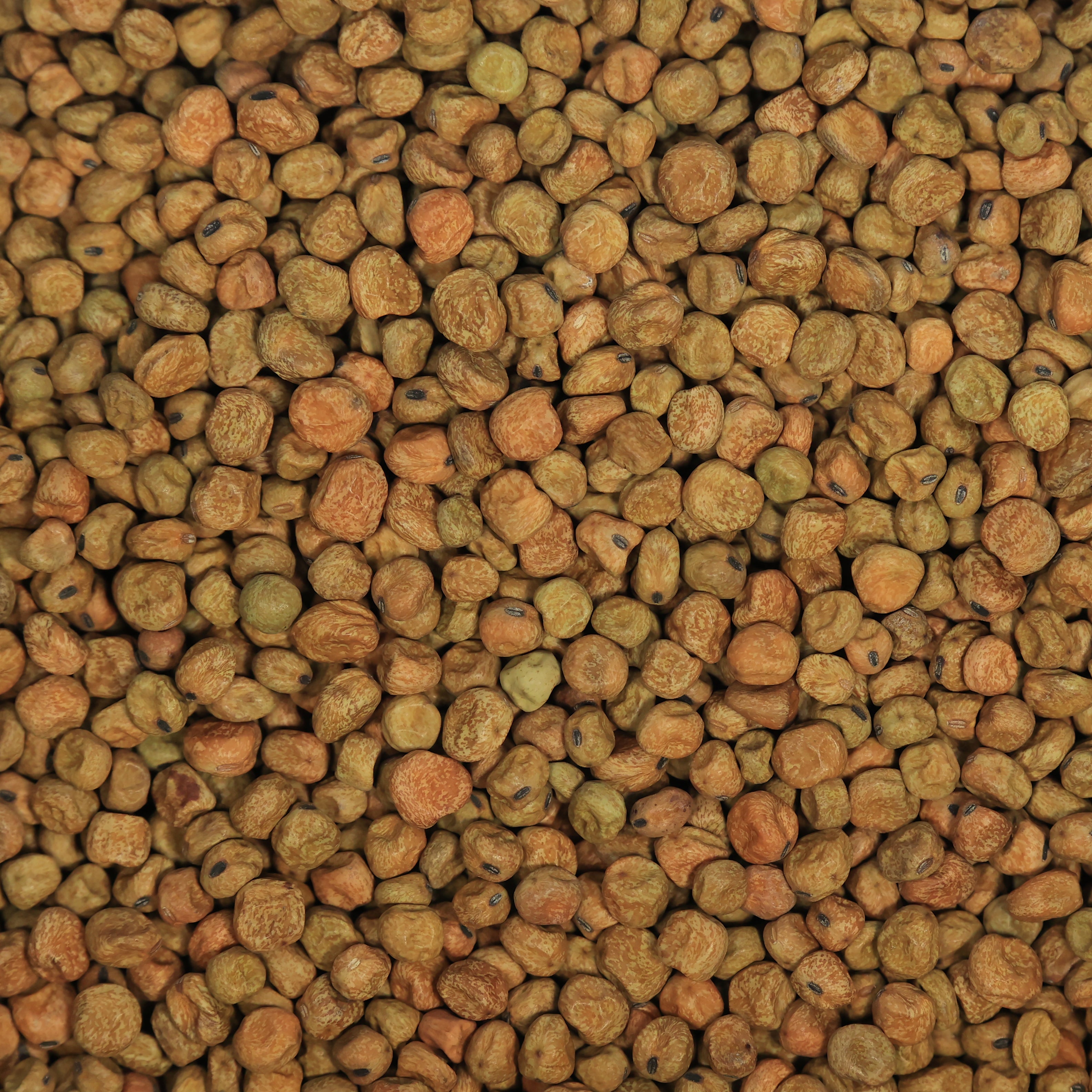 Grey Field Peas