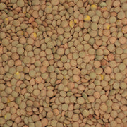 Green Lentils