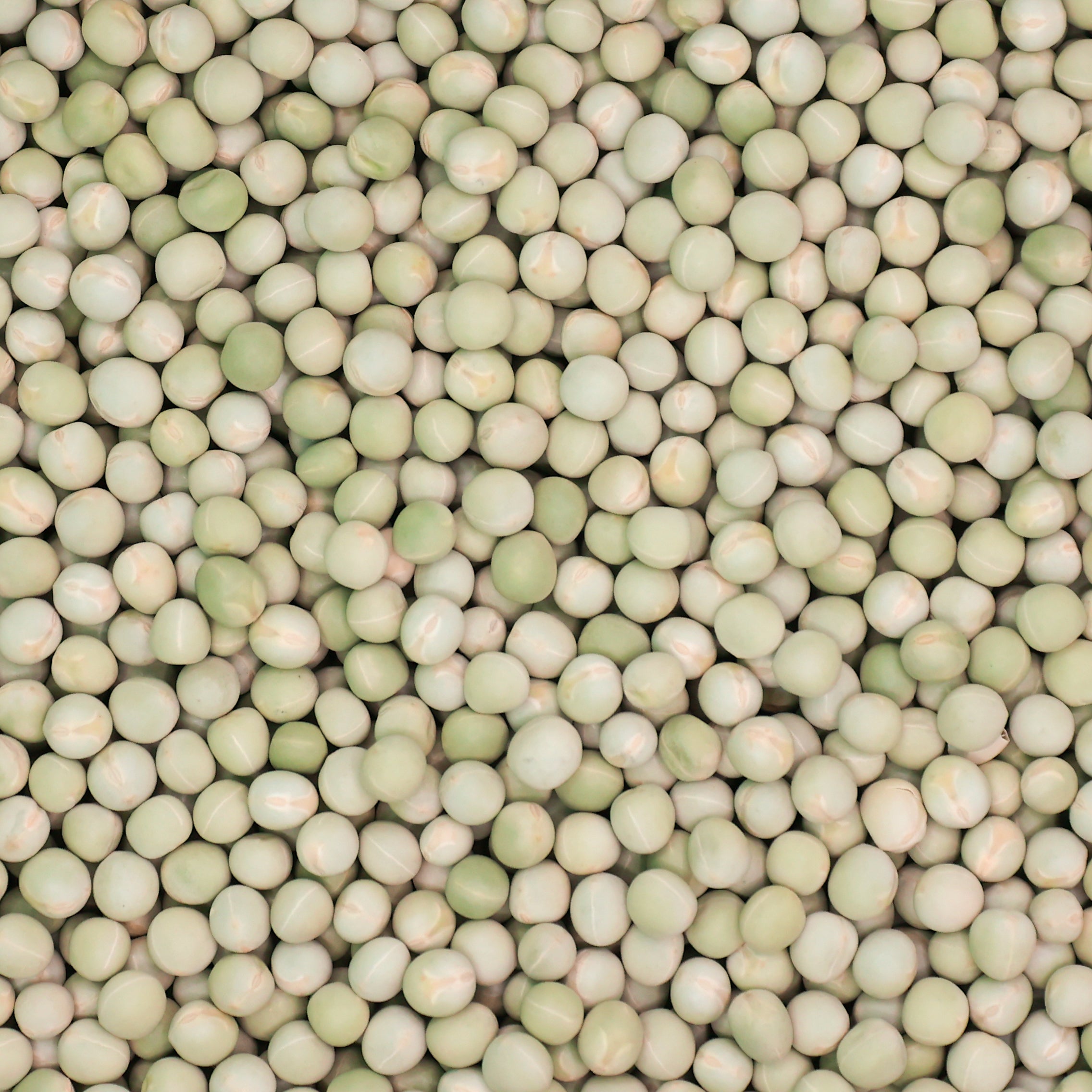 Dried Green Peas