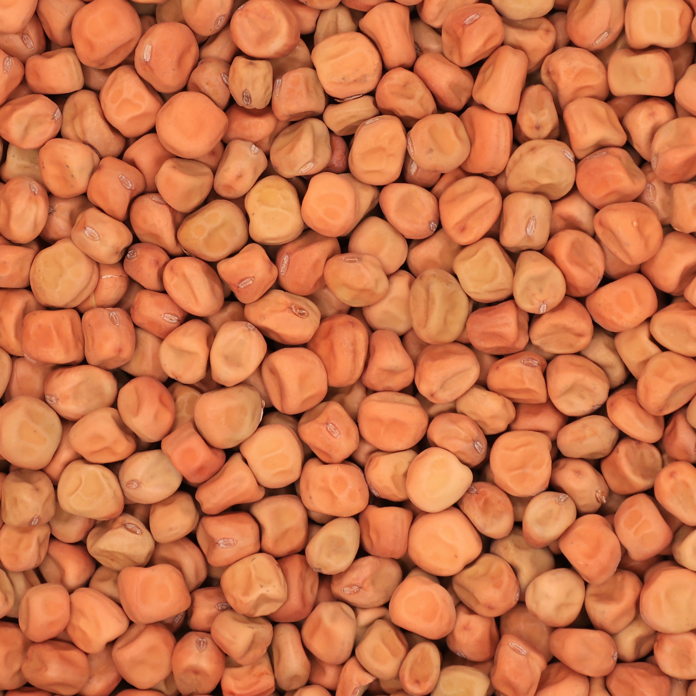Marrowfat Peas