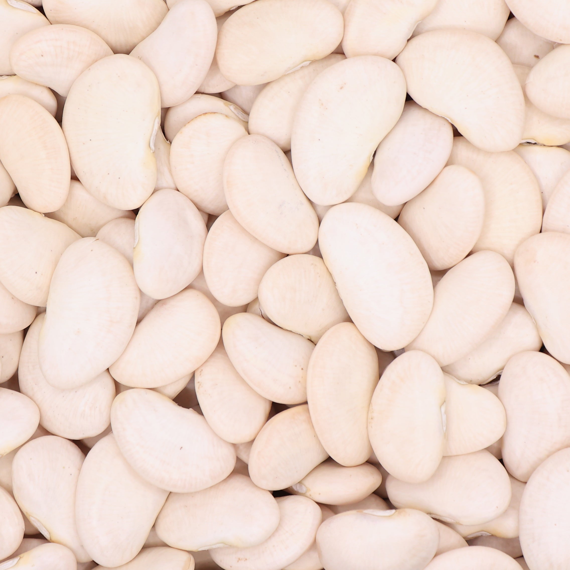Lima beans