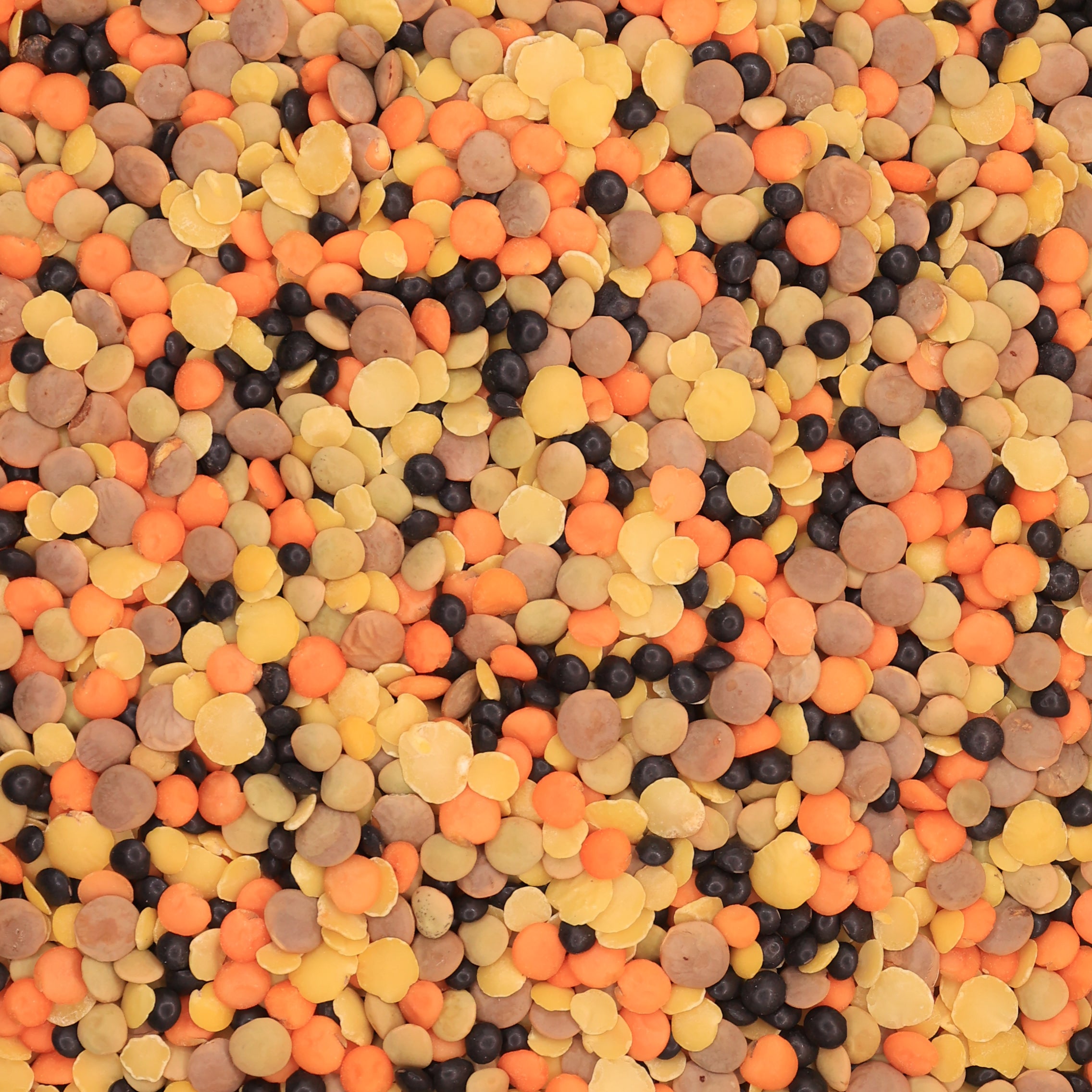 Lentil Mix