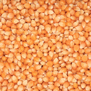 Popcorn Corn