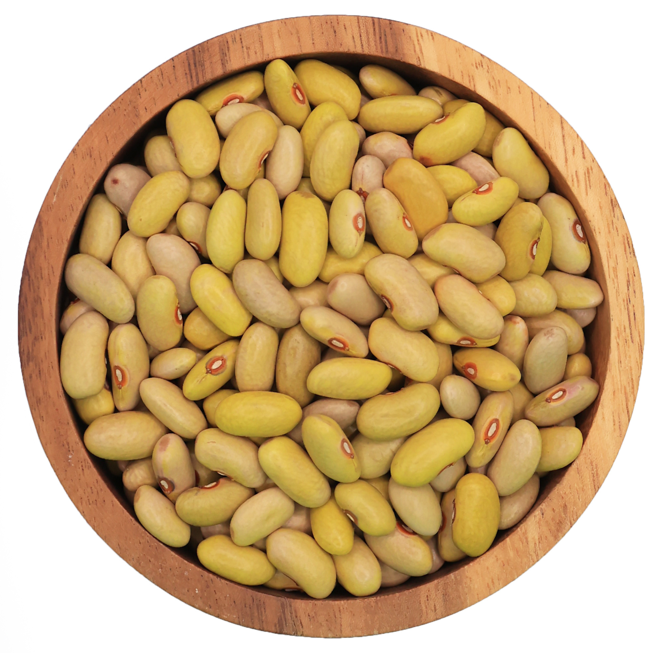 Frisian Forest Beans