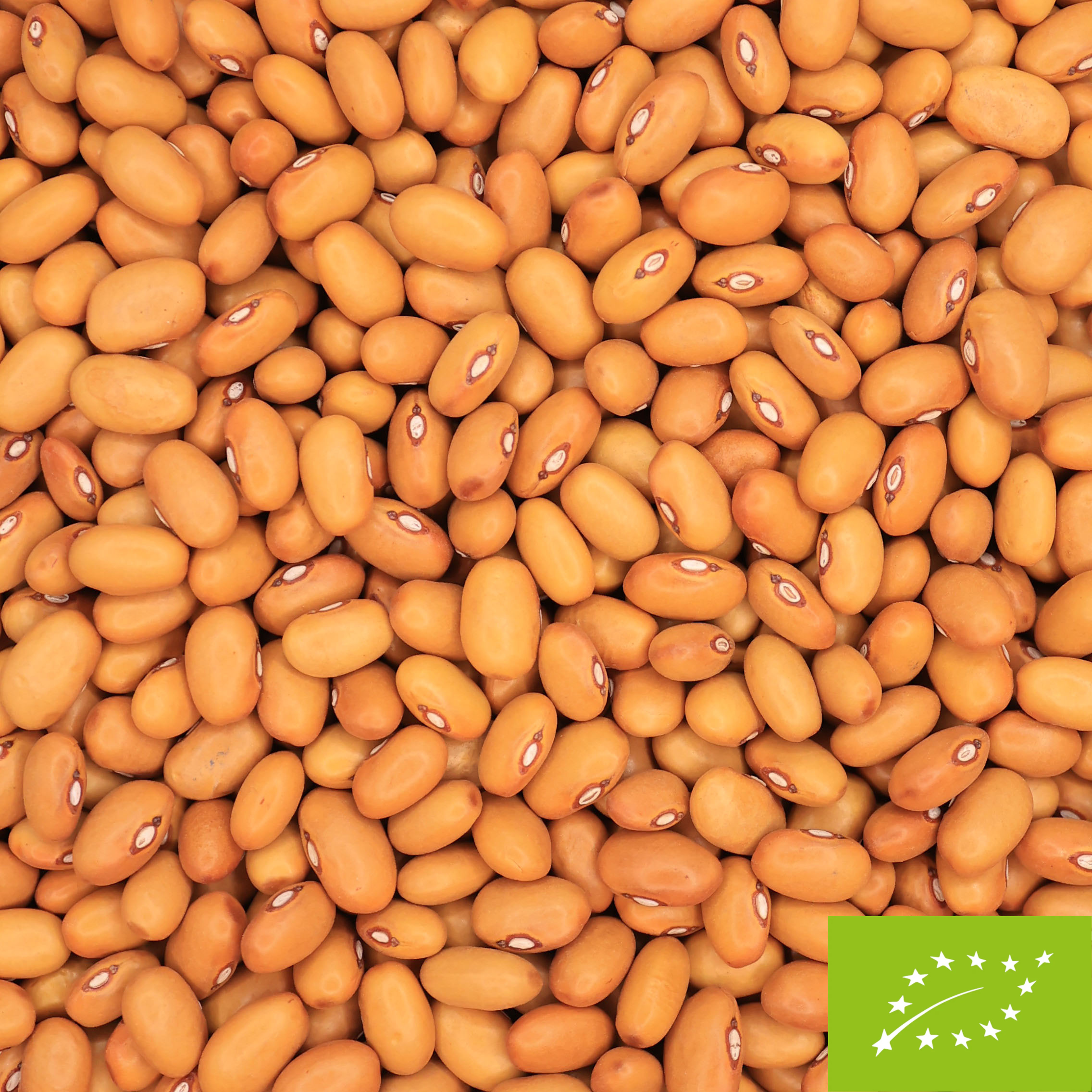 Organic Brown Beans