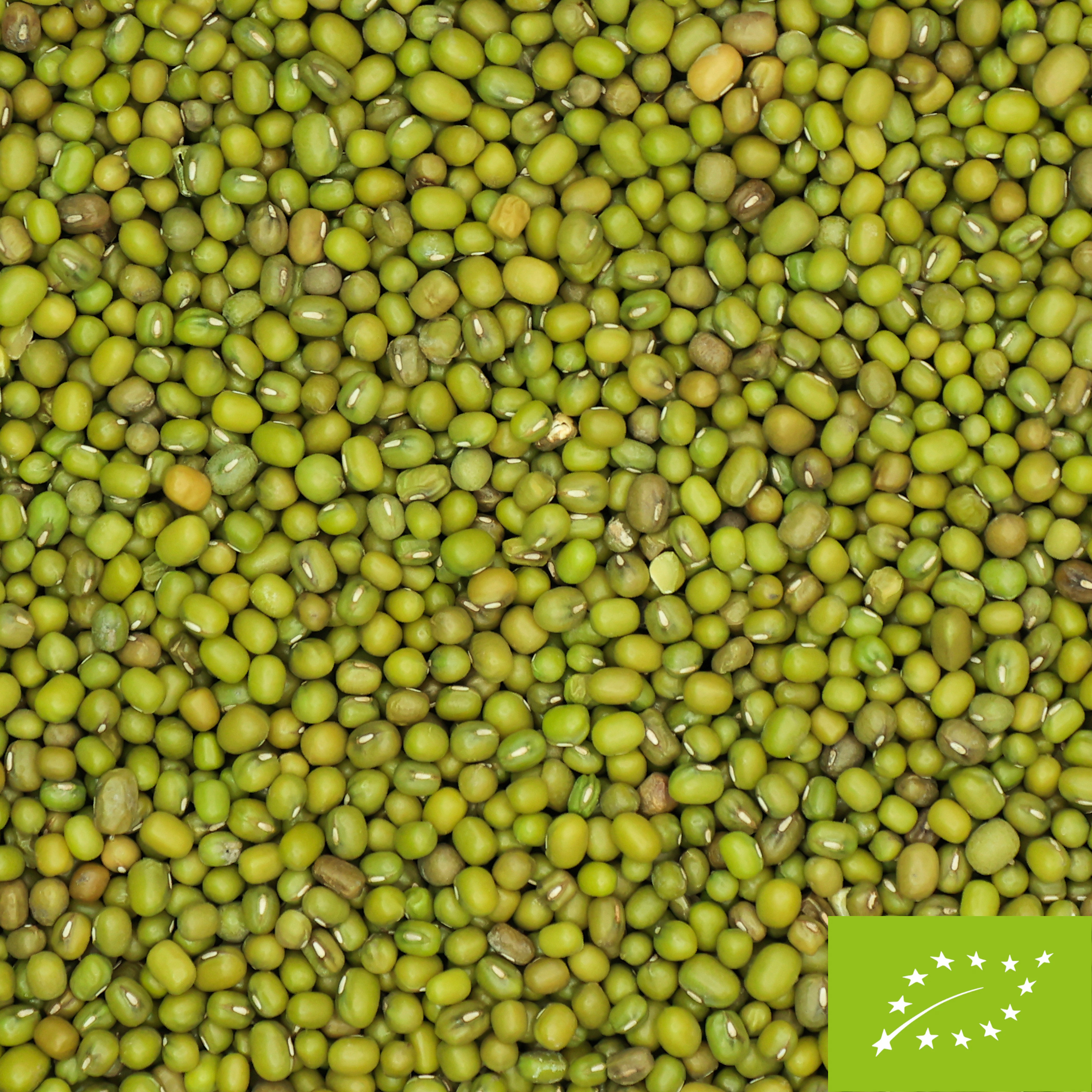 Organic Mung Beans