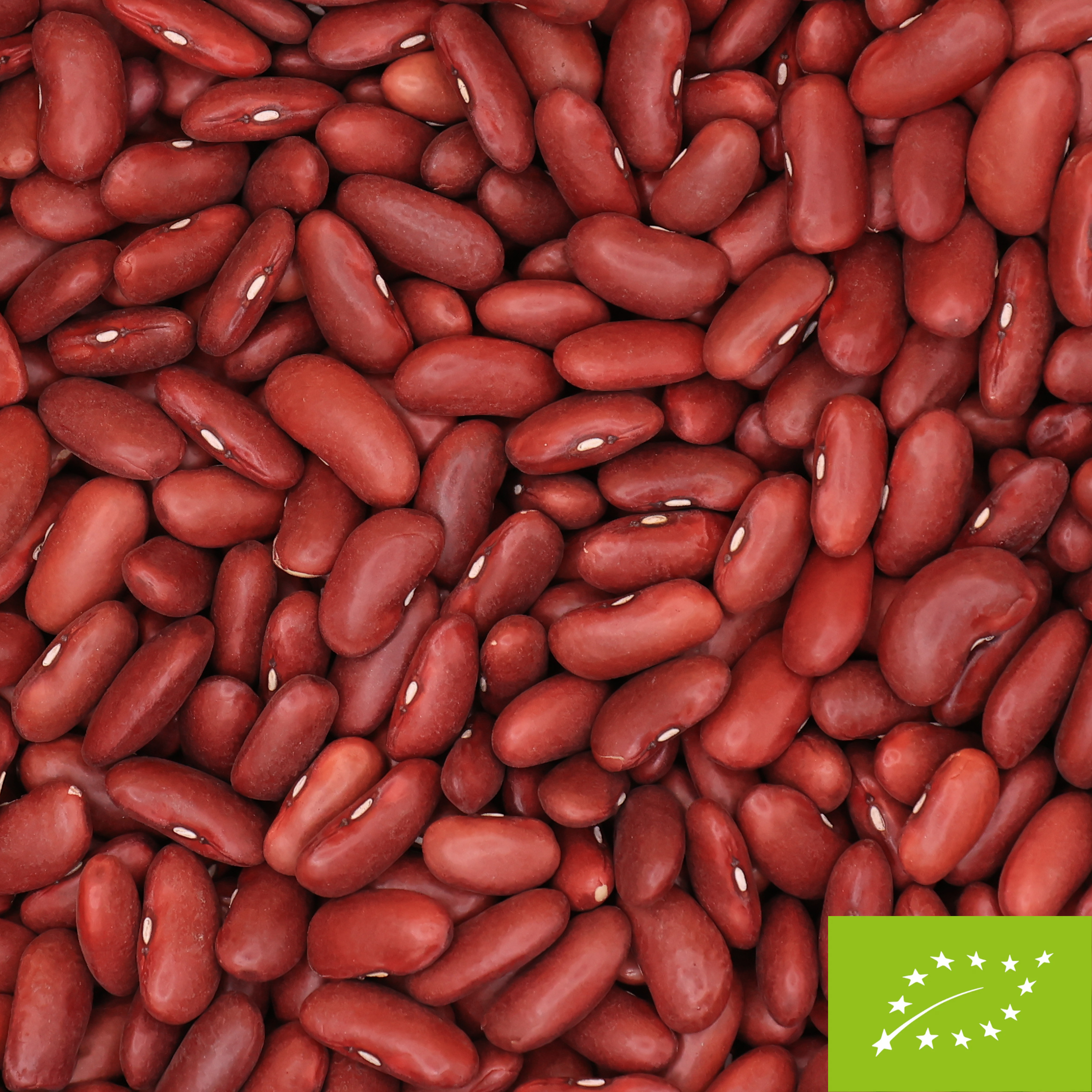 Organic Red Kidney Beans