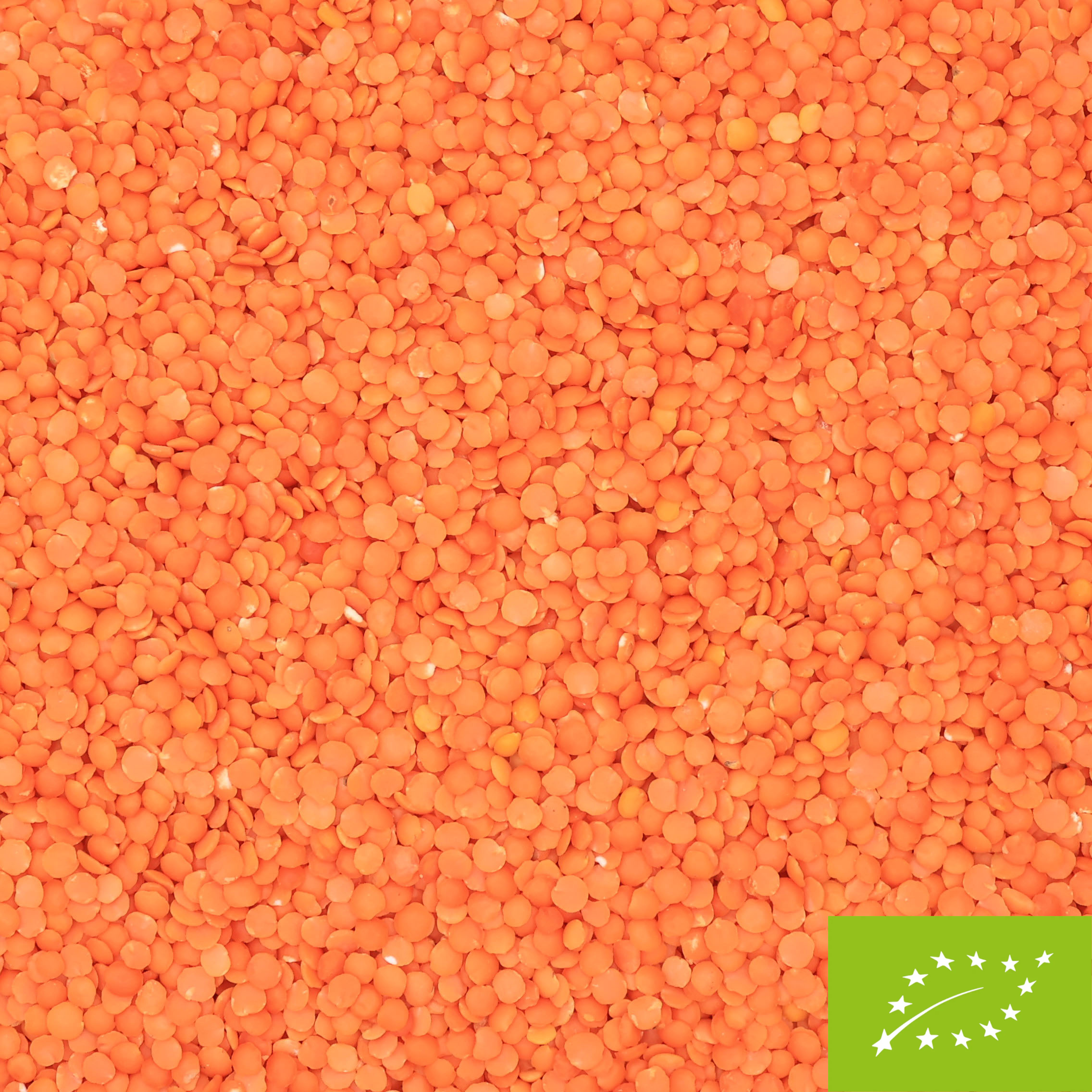 Organic Red Lentils