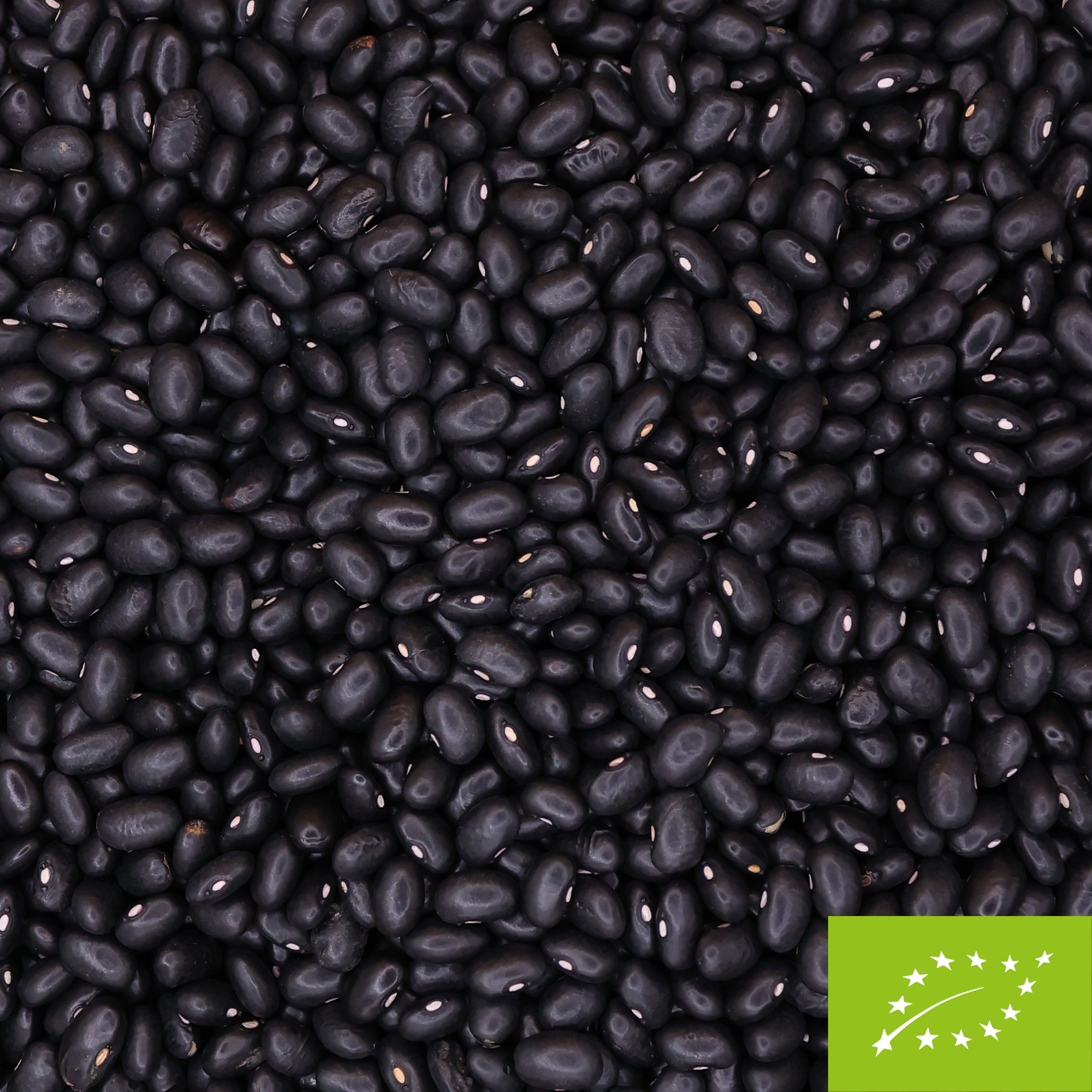 Organic Black Beans