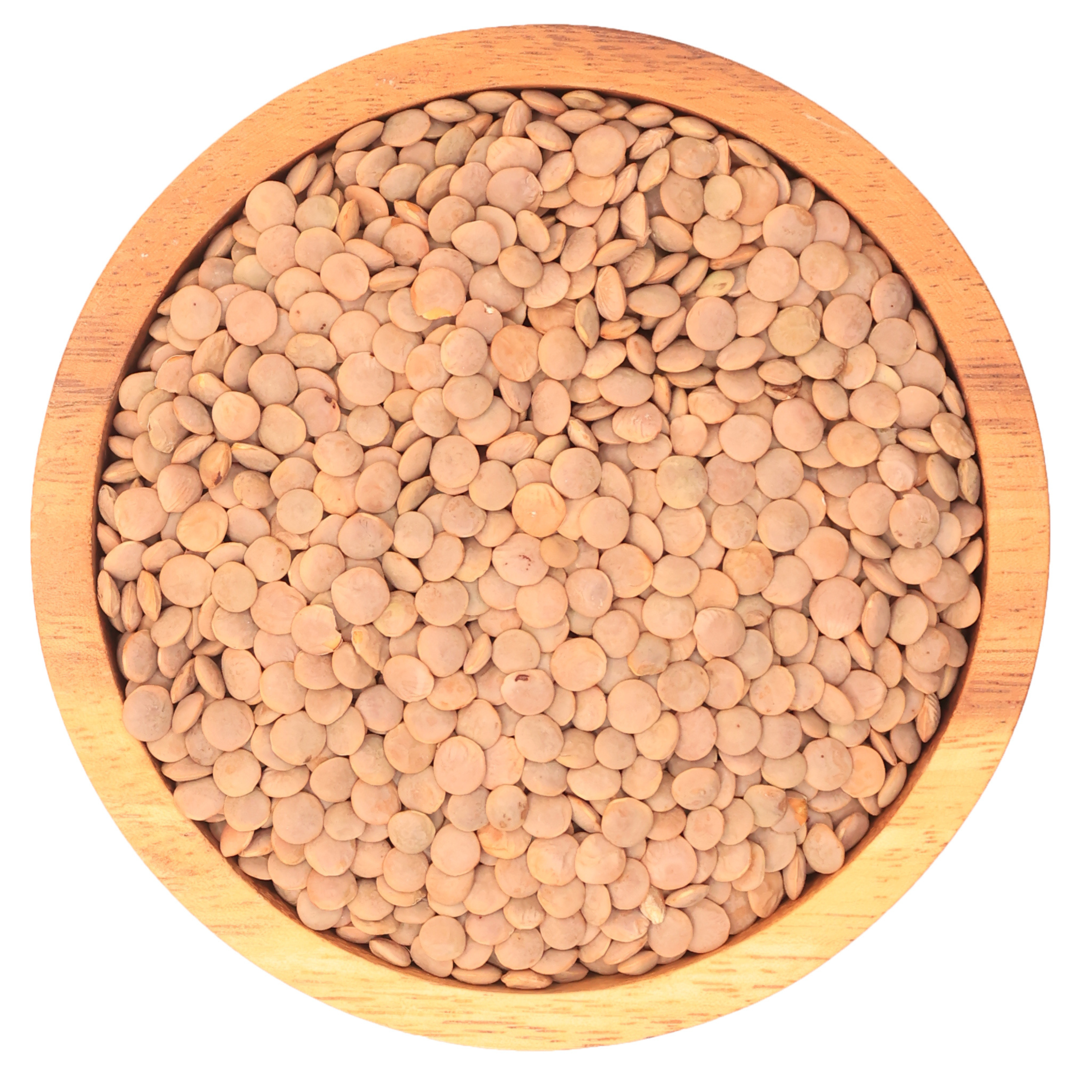 Brown Lentils