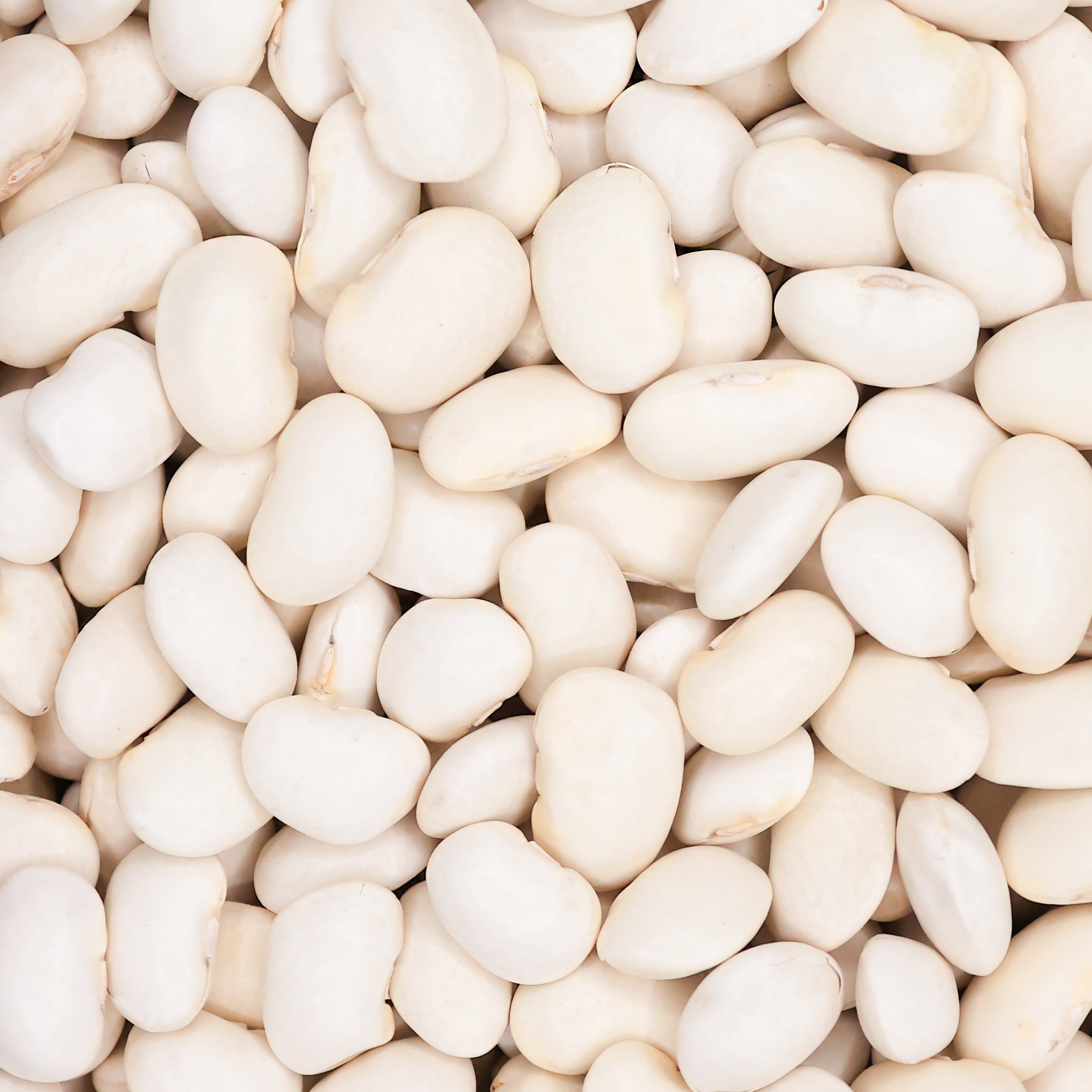 Runner Beans