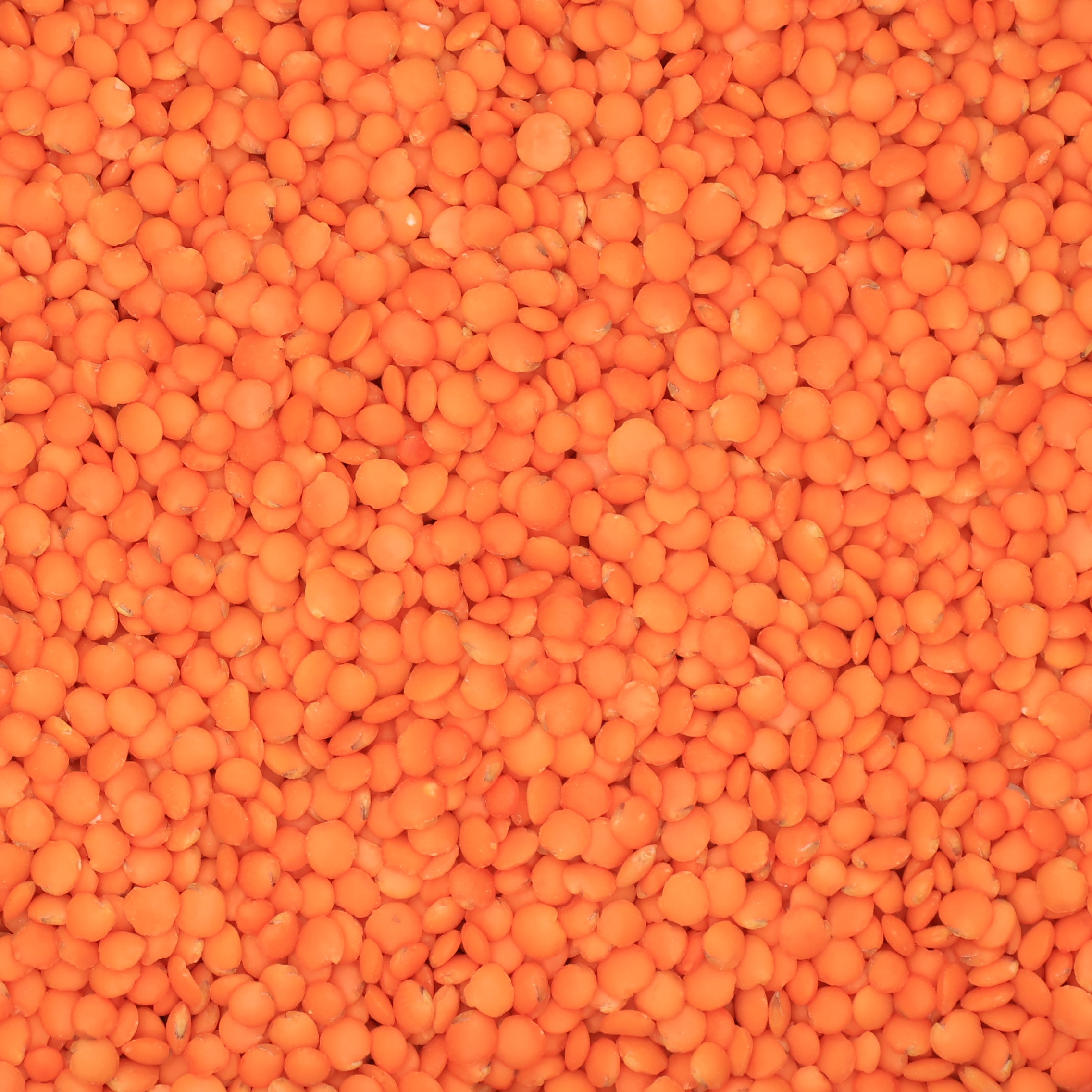 Red Lentils